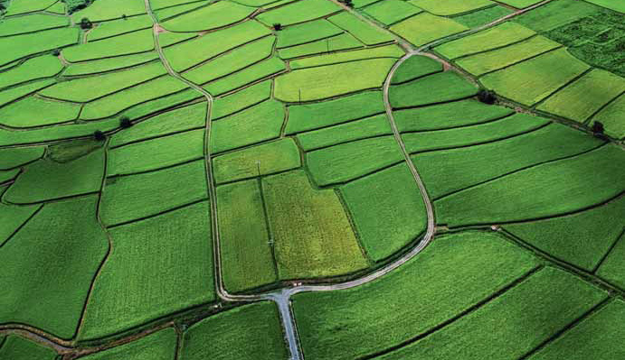 Global fertilizer